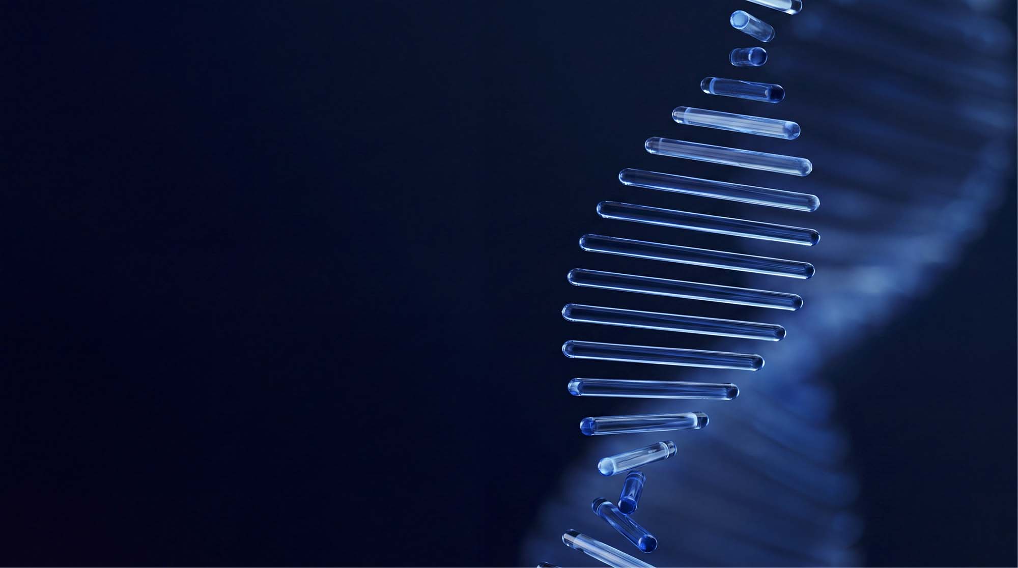 Peptide research vials in a laboratory setting